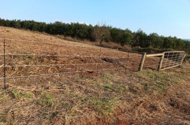 site